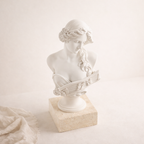 Modern Venus Bust Artistic White Silhouette