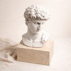 White David Bust Classical Sculpture
